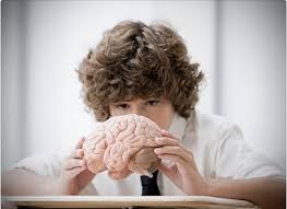 Cerebros de adolescentes diabéticos con diferencias en materia gris