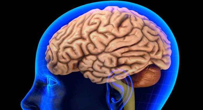 Consumir de más mariguana impacta memoria y funciones cognitivas 