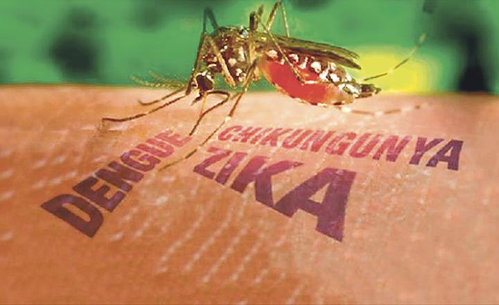 SSA insta a mantener combate a mosco transmisor de dengue