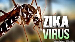 Zika puede afectar a ‘decenas de miles’ de bebés en AL